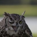 용산-377 이미지