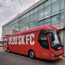 레드향 같다는 제주SK FC 구단 버스 이미지