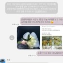 무브플랑 이미지
