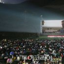 태백풍선파티 투어코리아