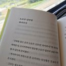 정승오 | [편집자 일기]부산국제영화제 후기, <오빠를 들고 갈 수 있는 사이즈로> 오픈 시네마