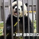 레더모어