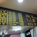 불타는돈갈매기 이미지