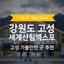 인제주여행사 | [공지] 2023년 강원세계산림엑스포 후기 1편 | 강원도 고성 가볼만한 곳 🌳
