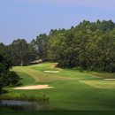 골프킹스 이미지