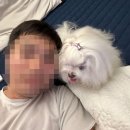 알자바뽑기방 | [대구 방탈출] 황금열쇠방탈출 대구동성로2호점 'BAD ROB BAD' 후기 : 목 꺾일뻔한 층고 실화?