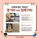 통기타(주말) | 학원 | 기타 연주, 처음이라면 &#34;여기서&#34; 시작하는 걸 추천! 🎶 라실용음악학원 안양점 통기타/일렉기타반