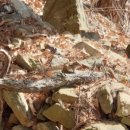 월산축산 이미지