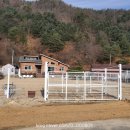 헬로우댕댕 이미지