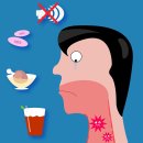 도담동물병원(출장진료전문 동물병원) | 90% 치사율 ‘니파바이러스’… 증상·감염경로·예방까지 완벽 정리