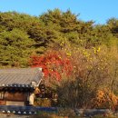 영주수도리김뢰진가옥 이미지