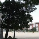 유산공인중개사사무소 이미지