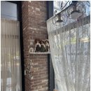 눈부신네일 이미지