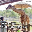 (주)포유리조트 | 푸꾸옥 여행, 북부 빈펄 사파리 주트램 주키퍼 운영시간 입장요금