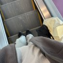 Toy House | [런던] 10월 런던여행 - 1