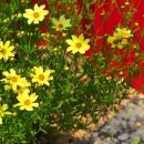 오렌지 파크 이미지