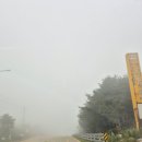 소금제 | [애견동반숙소] 강릉 소금제 후기!