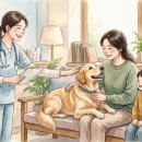 케어덴 동물치과&내과병원 이미지