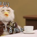 딩동댕 - 창원시 마산회원구 석전동13길 35 | 딩동댕