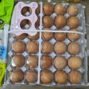 명승양계농장 이미지