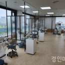 다솜치과 티스토리