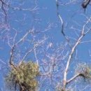 하은민박 이미지