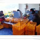 동희농원 이미지