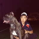 이쁜 똥강아지 이미지