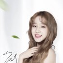 동유 Daum카페