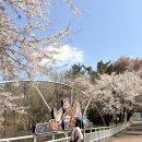 주차29 | 가야랜드 주말 방문 후기 | 웨이팅, 주차, 29개월 아기랑 코스 총정리