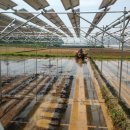 안인 태양광발전소 이미지