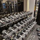 다빈치짐 에르소필라테스 이미지