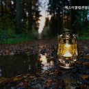 에스이클럽관광농원