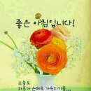 모차르트음악학원 이미지