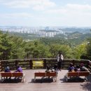 태화 목장 이미지