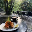 로드1071카페(Road 1071 cafe) | 싱가포르 브런치 PS 카페 하딩로드점 손꼽히는 이유