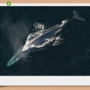 박물관로 이미지