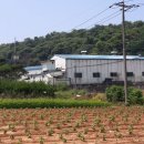 율생중앙로 이미지