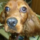 한양아파트 내 이미지