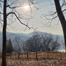 이론과 실무를 알고 주식 투자하기(주간반) | 세이노, 세이노의 가르침-2 - 세이노