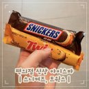 오늘도아이스 | 편의점 신상 아이스크림 트윅스 스니커즈 아이스바 여름 디저트 후기