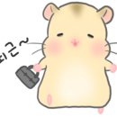 VIP 안경원 이미지