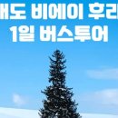 비 엔 글로벌