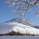 장고성 집 이미지