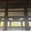 경복궁 경회루 향원정 특별관람 추천후기