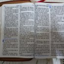 대한예수교장로회솔로몬교회 이미지