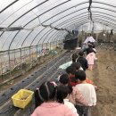 연세농장 이미지