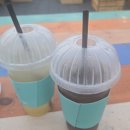 세대공감 달빛축제 | 2025년 울산 달빛축제 세대공감 행사 후기 | 태화강 국가정원 체험&amp;공연