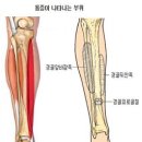 스프린트 PT 이미지