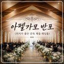마마포레 | 강남 아펠가모 반포 단독홀 하객 후기: 웨딩홀/주차/ATM/연회장 뷔페 식사 솔직후기